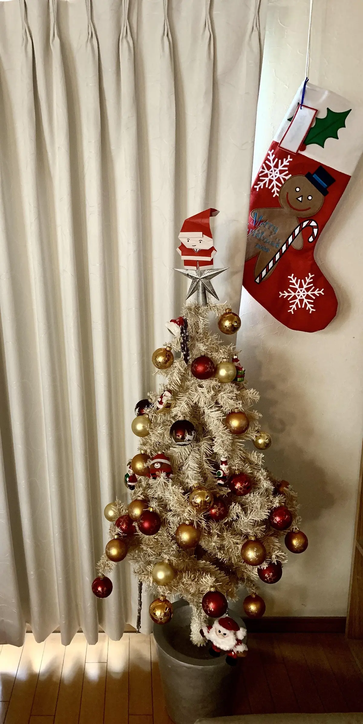 もうすぐクリスマスですね🎄の画像_1