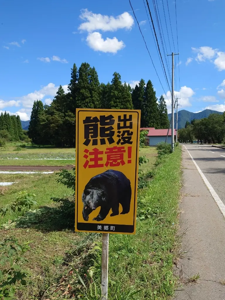 熊出没注意の看板