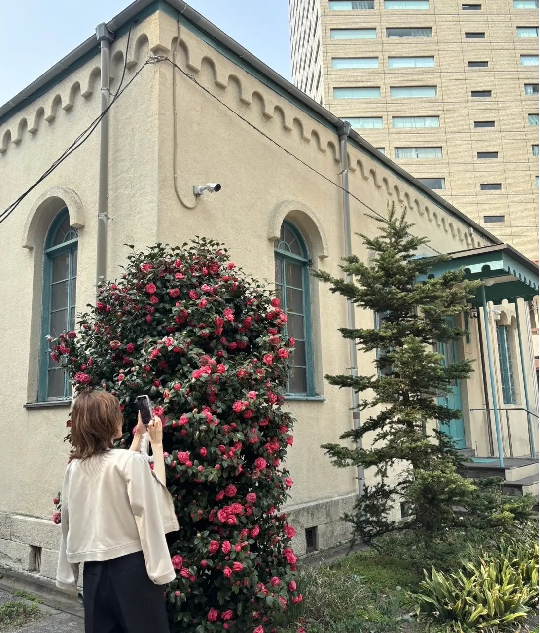 Jマダムと春のお出かけの画像_11