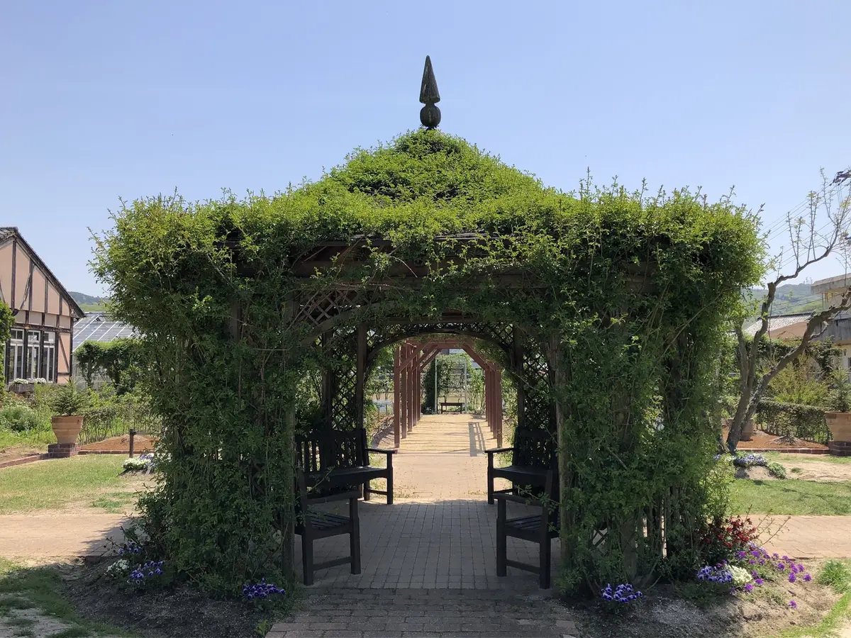 お気に入りトップスにGU白デニムで熊山英の画像_6