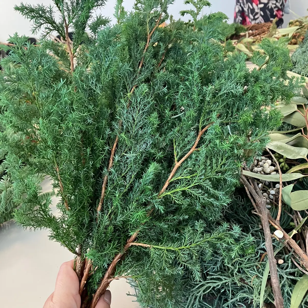 【50代の習い事】冬の森の香りに包まれての画像_4