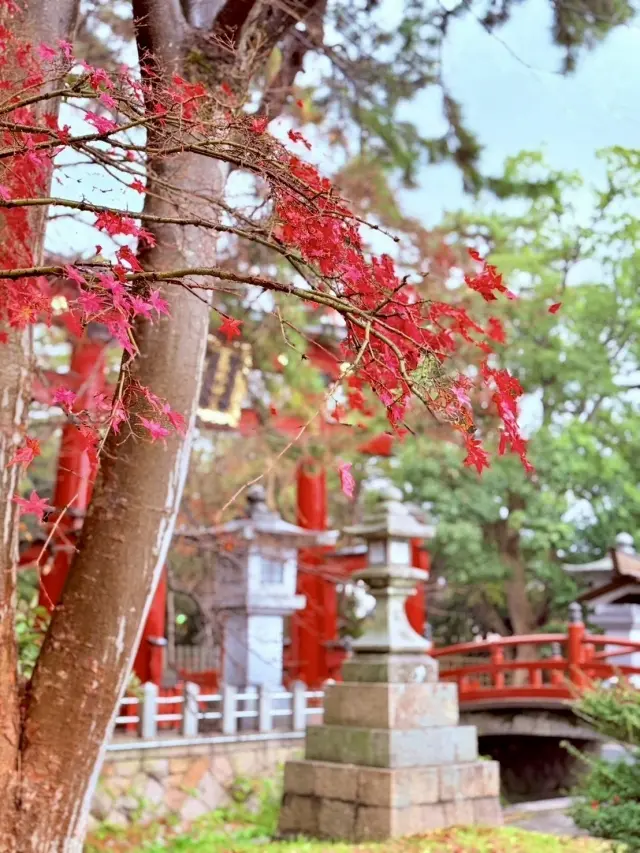 北陸の守護神「氣比神宮」へ 松尾芭蕉が愛の画像_1
