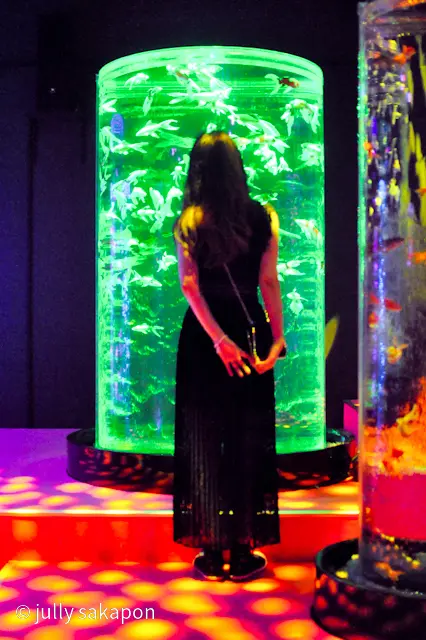 【さかぽんの履歴書】④大人女子こそワンピの画像_15