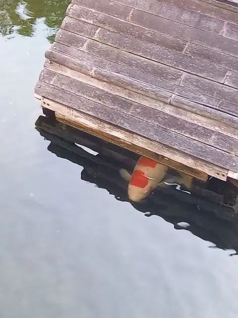 米寿の会 @ホテルニューオータニ東京の画像_4