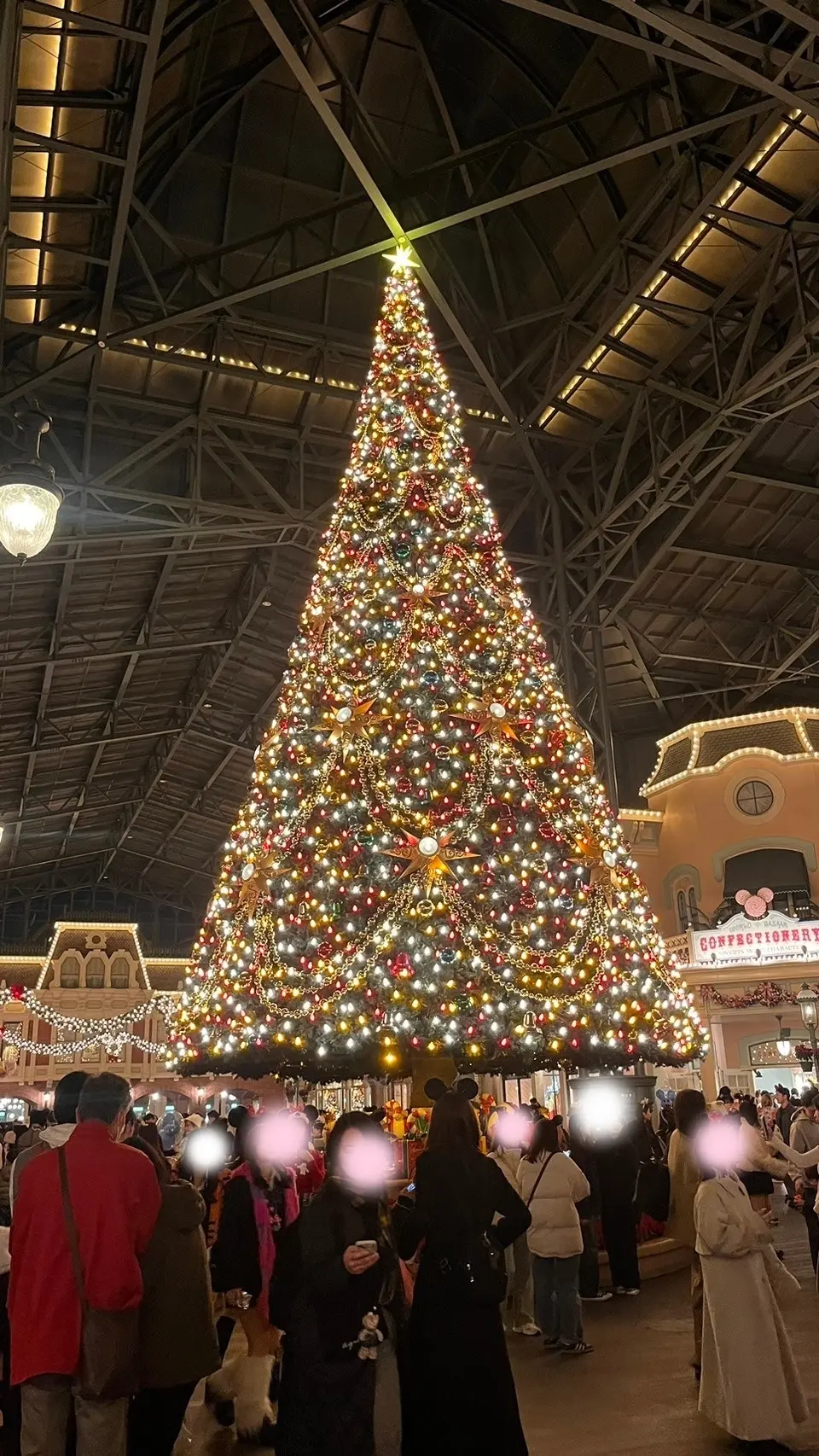 ２０２４年クリスマス直前！！【東京ディズの画像_15