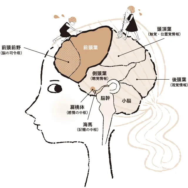脳のゴミっていったい何？