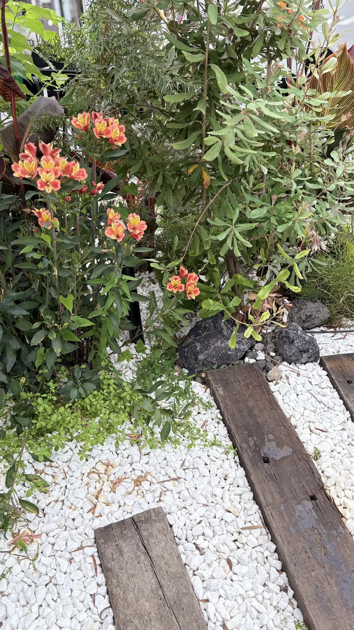 １番近いハワイレストラン＊コナズ珈琲へ（の画像_10