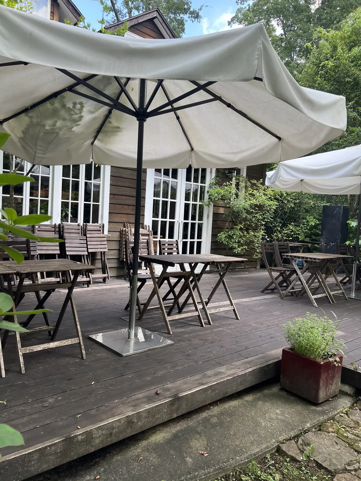 ワンコと入れる素敵なカフェも併設されています