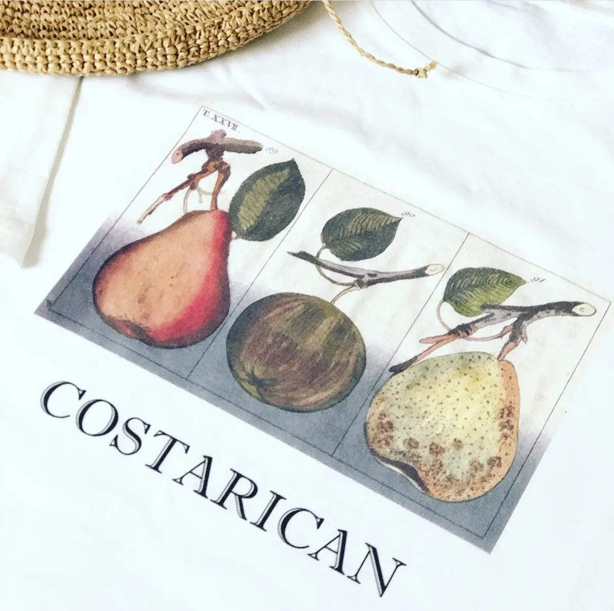 ボタニカルな本命Tシャツと、クッキー缶♡の画像_2