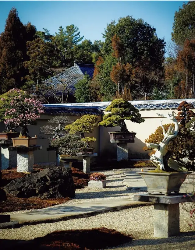 【50代の心を育てる京都旅】本物の美を見の画像_34