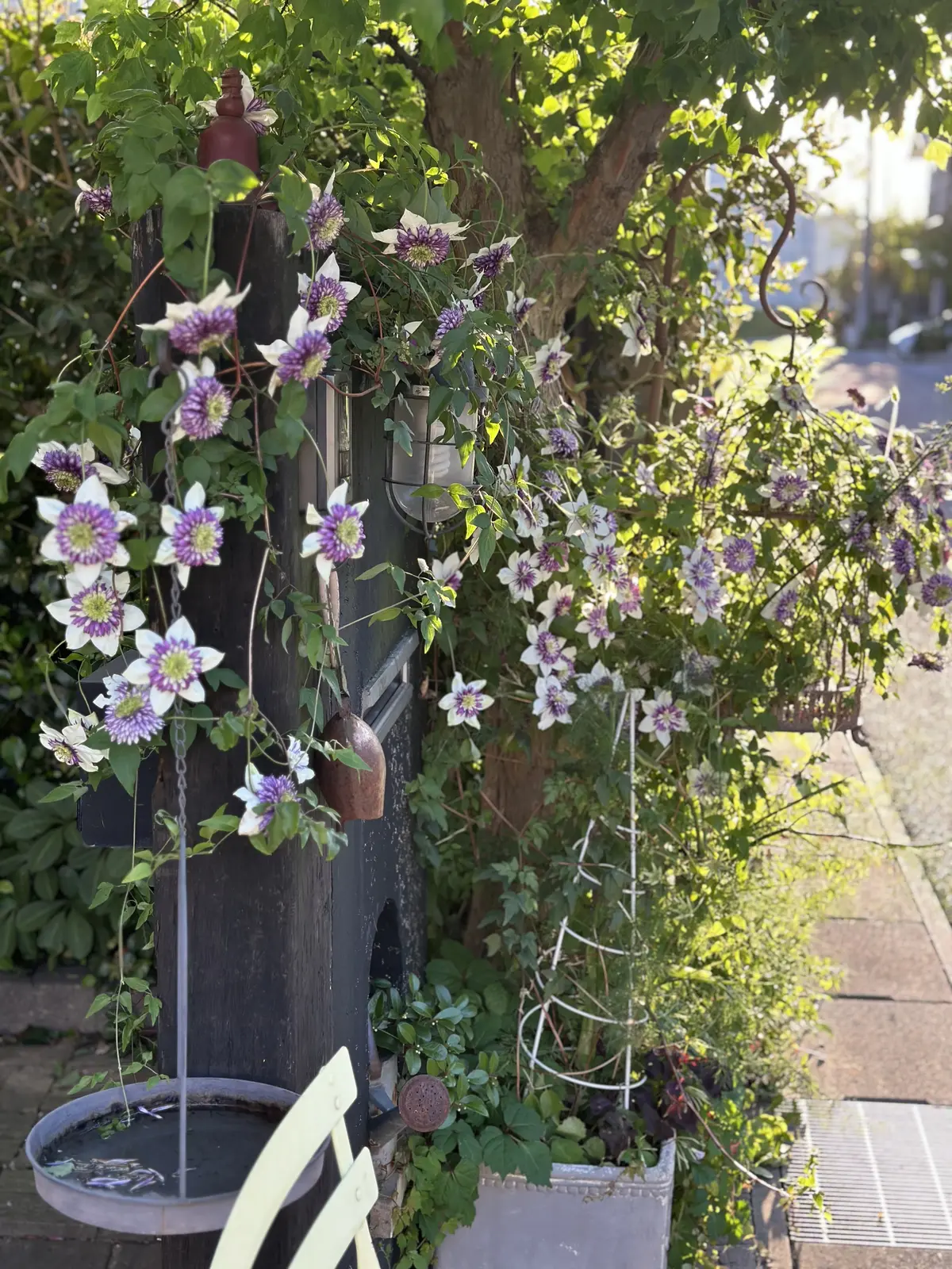 春から初夏へ・・・の画像_8