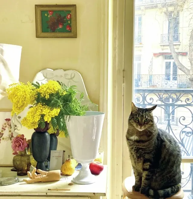 チグル　雑種 14歳・♂