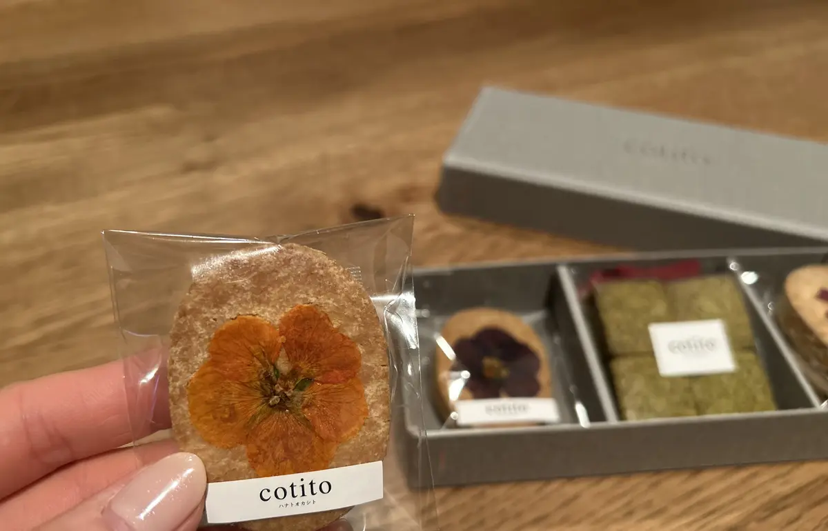 Jマダム2024クリスマスパーティ♪の画像_14