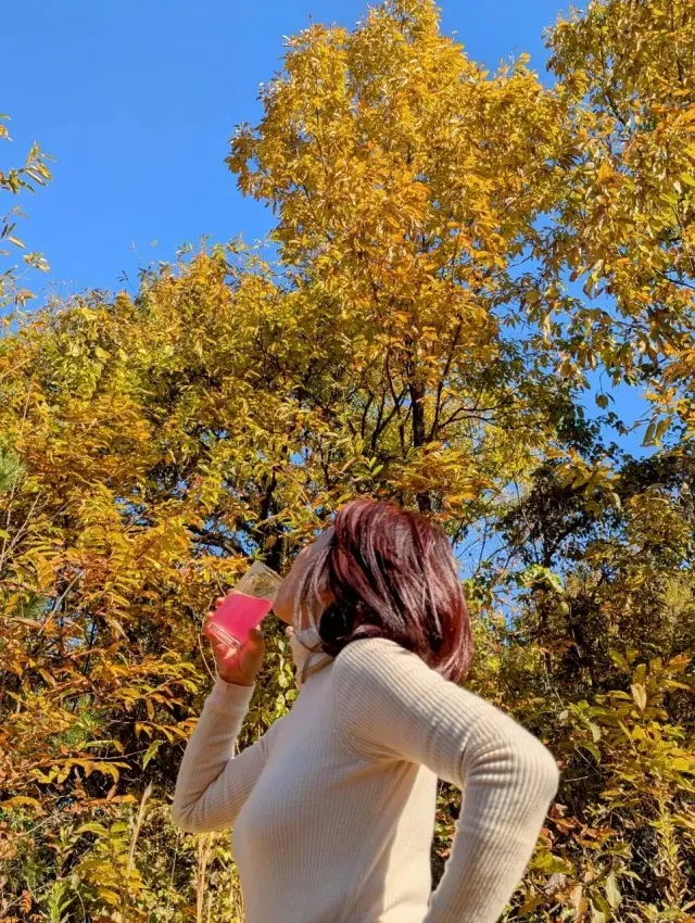 秋の恵みたっぷり！手作り酵素ドリンクの画像_17