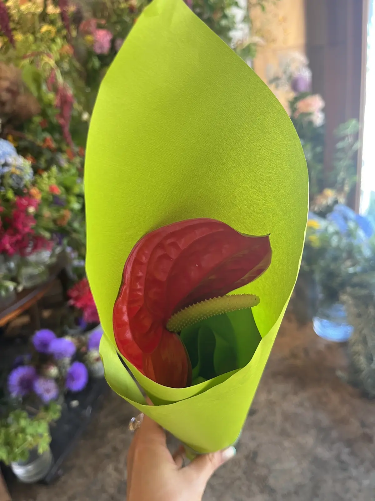 初夏のお花で『花屋で写真館♪』の画像_13