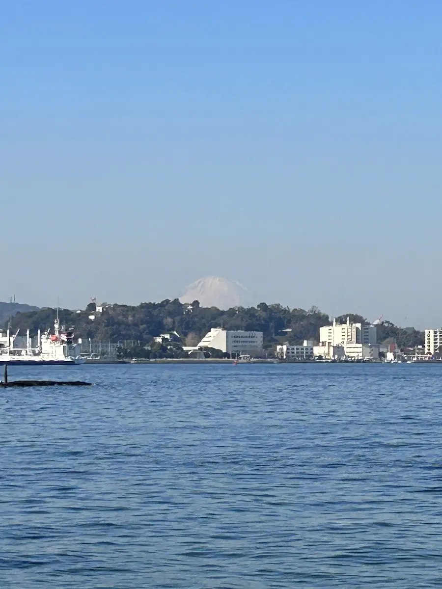 猿島エコツアー