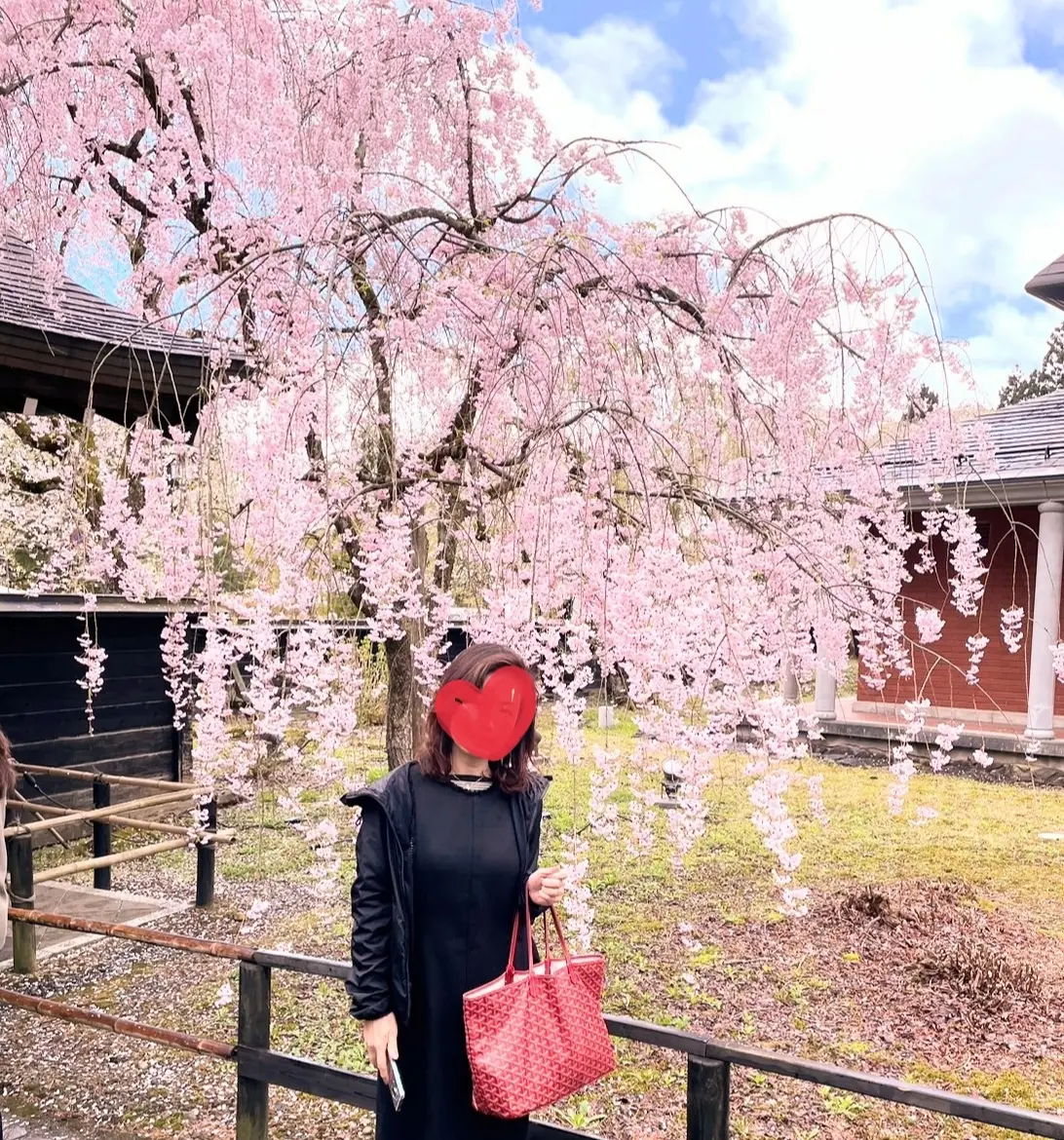 角館　しだれ桜