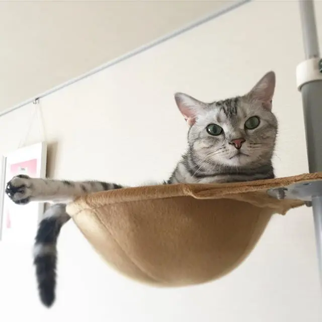 ちょっとはみ出してますけどの画像_1