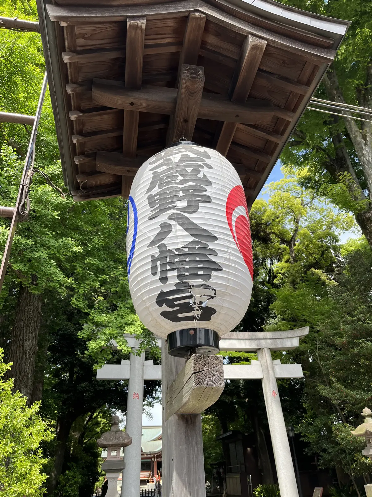 吉祥寺でのあれこれの画像_5