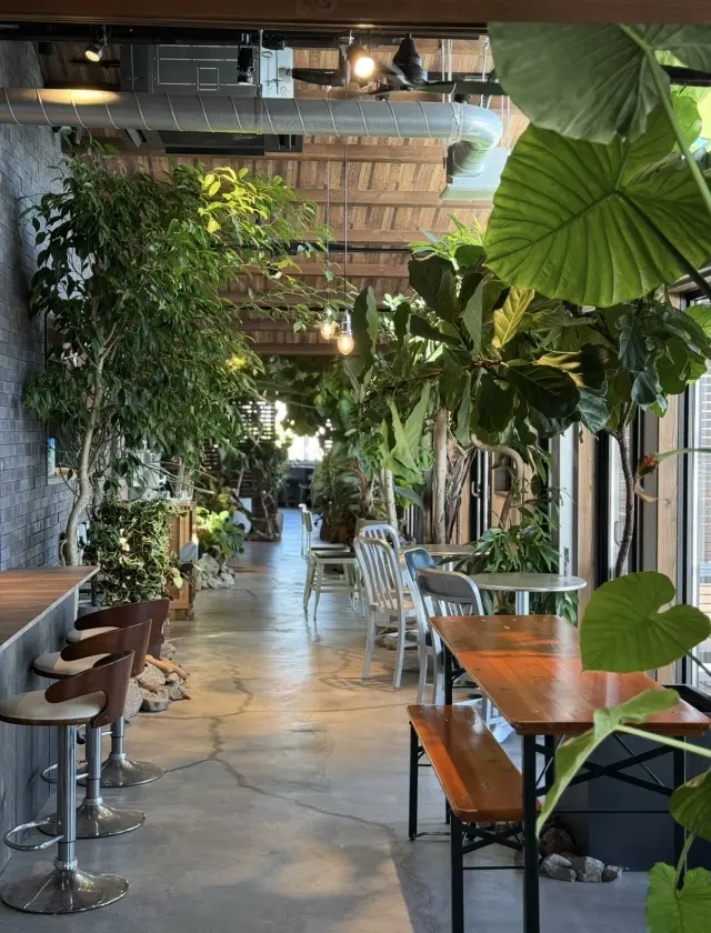 1000%の私の夏。の画像_4