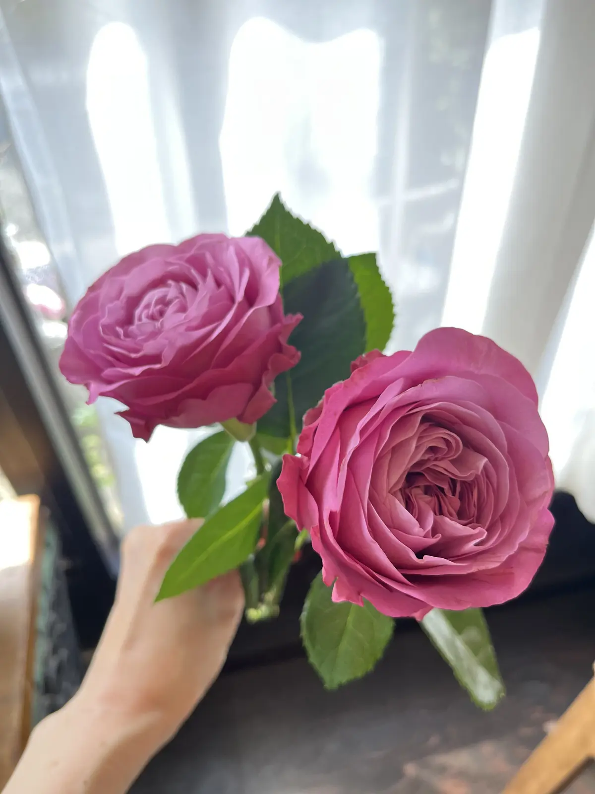 最近の〝花活〟の画像_4