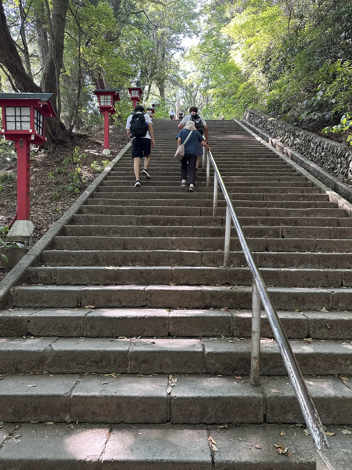親子三代で行くはとバスツアーと真夏の高尾の画像_23