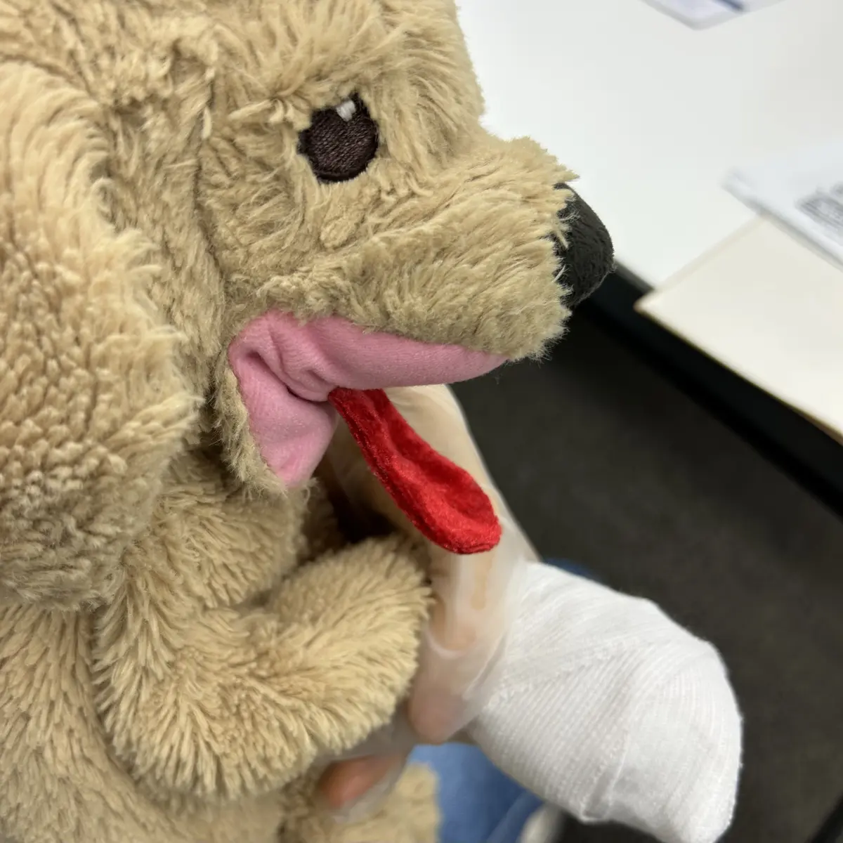 止血の包帯の巻き方の実技