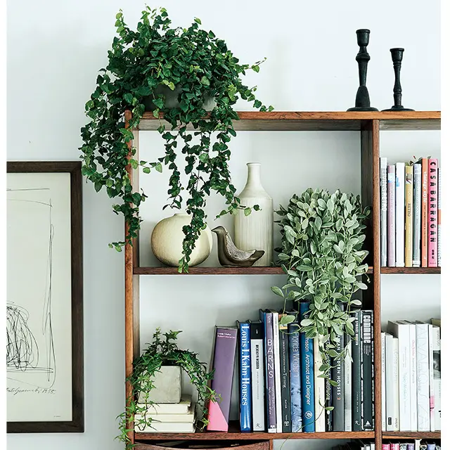 夏の快適インテリア「グリーン」や「リネンの画像_2