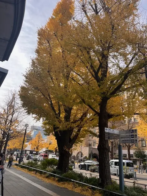 見納め紅葉～中華街から横浜街歩きの画像_6