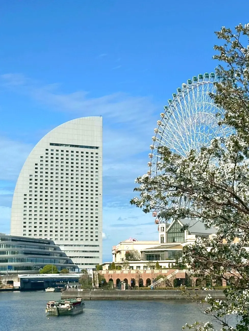 ちょうどいいカットソーでちょうどいいランの画像_10