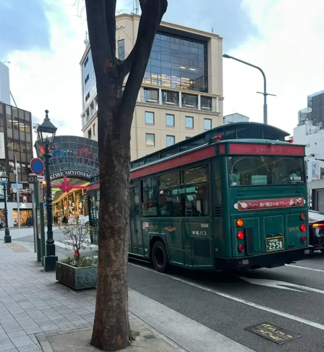 1月上旬、晴れた日の生田神社へ。の画像_4
