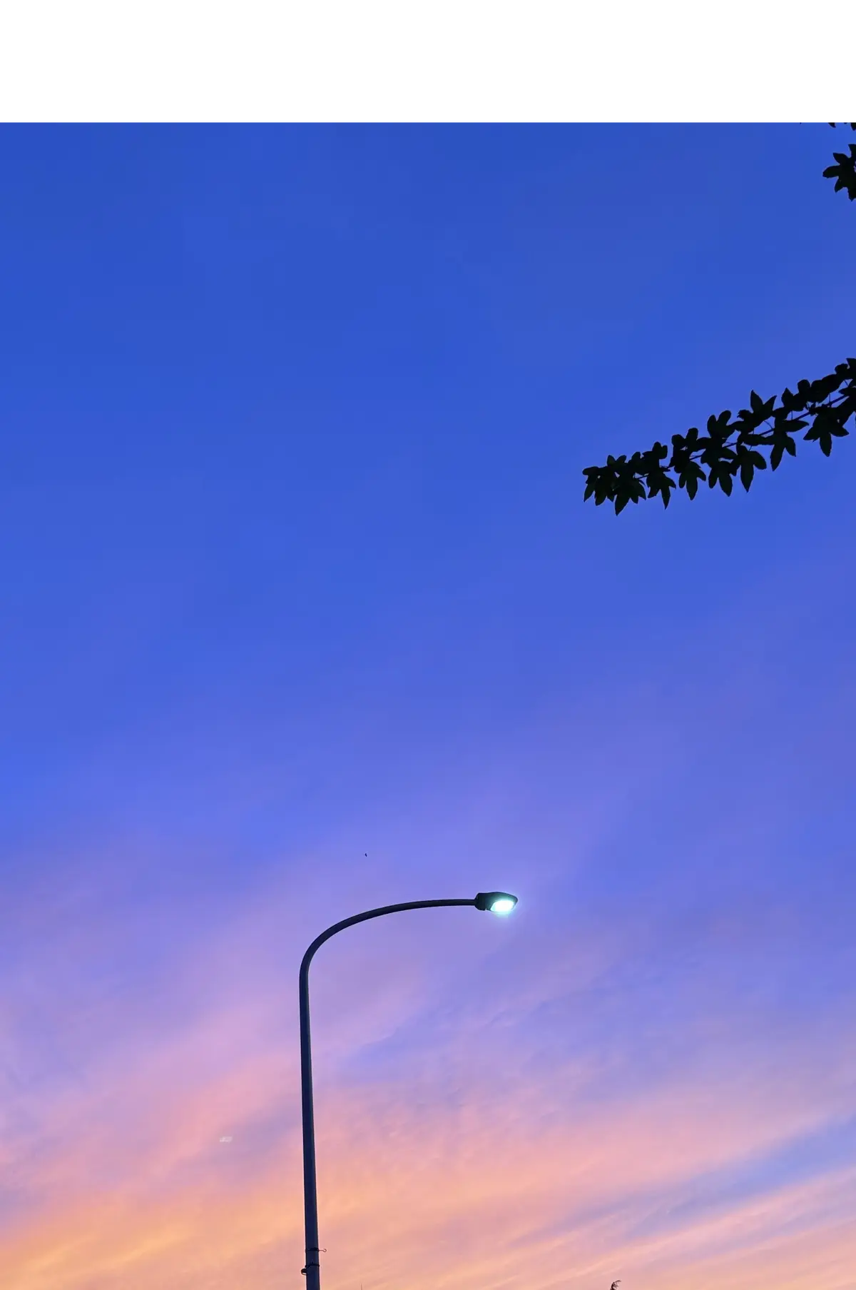 秋空　キレイな空　ゆうやけ　夕焼け空