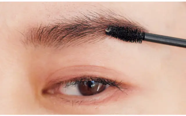 設計図の囲み部分をカラーパウダーで染めるようにぼかし、仕上げに透明マスカラでもう一度毛流れを整え、キープさせる。