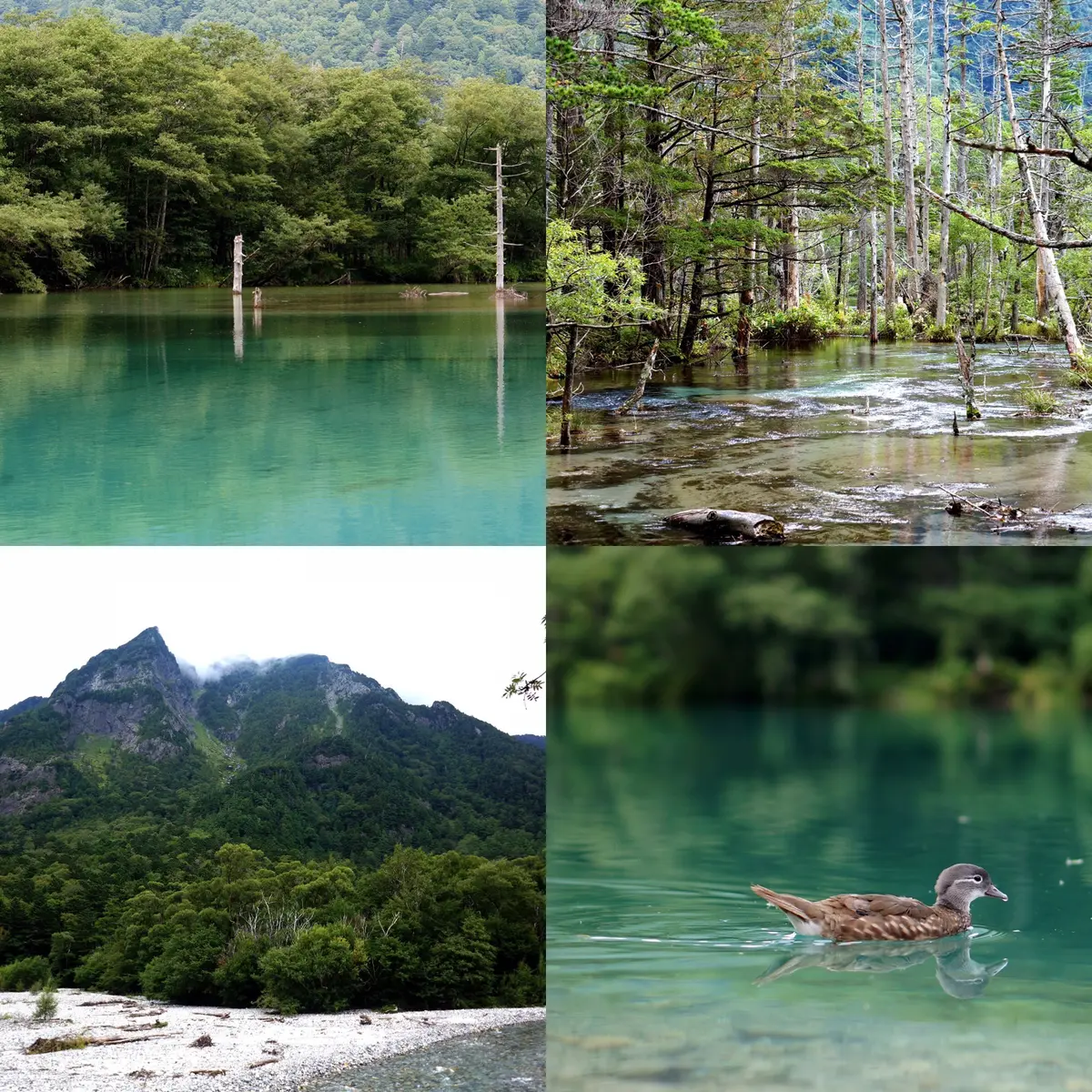 信州大人旅の画像_6