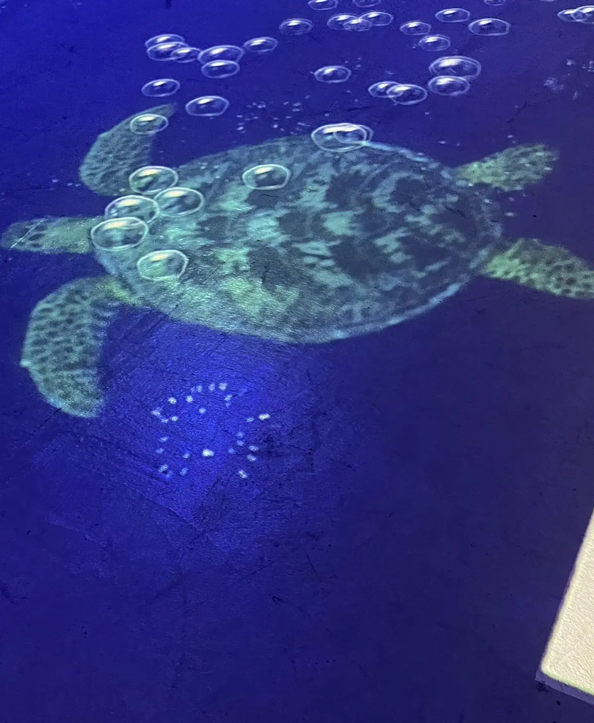 素敵なTEA HOUSEで桜を束ねるの画像_2