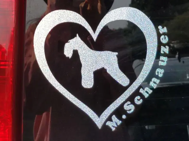 12年間の感謝と喜び、少しの後悔の画像_1