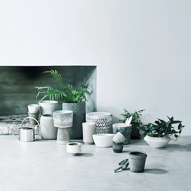 ニュアンスのある鉢が、センスアップの一番のカギ