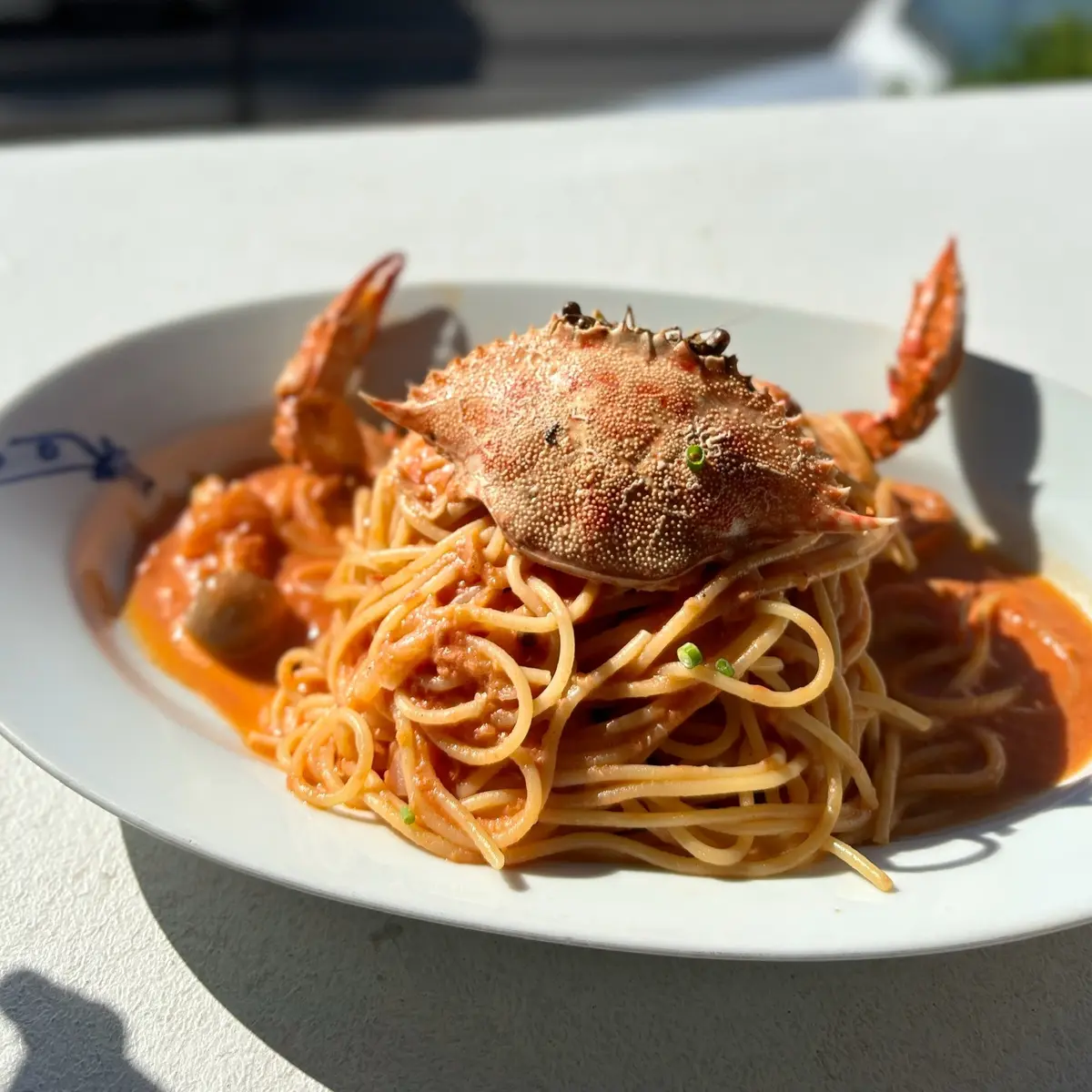 愛用の「白シャツ」で海への画像_3