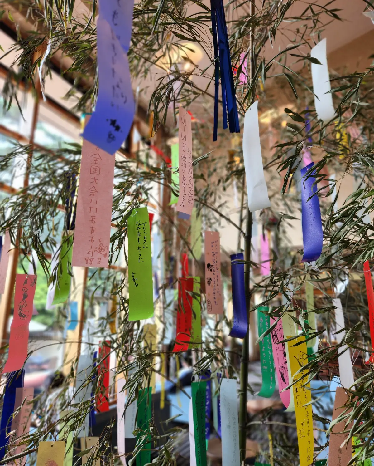 upper hightsのセットアップでの画像_3