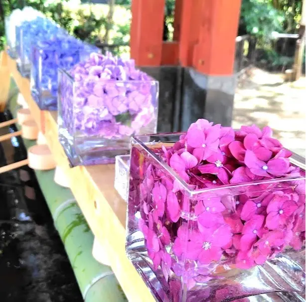 ちょこっとリメイクしたGUドライワイド黒の画像_2