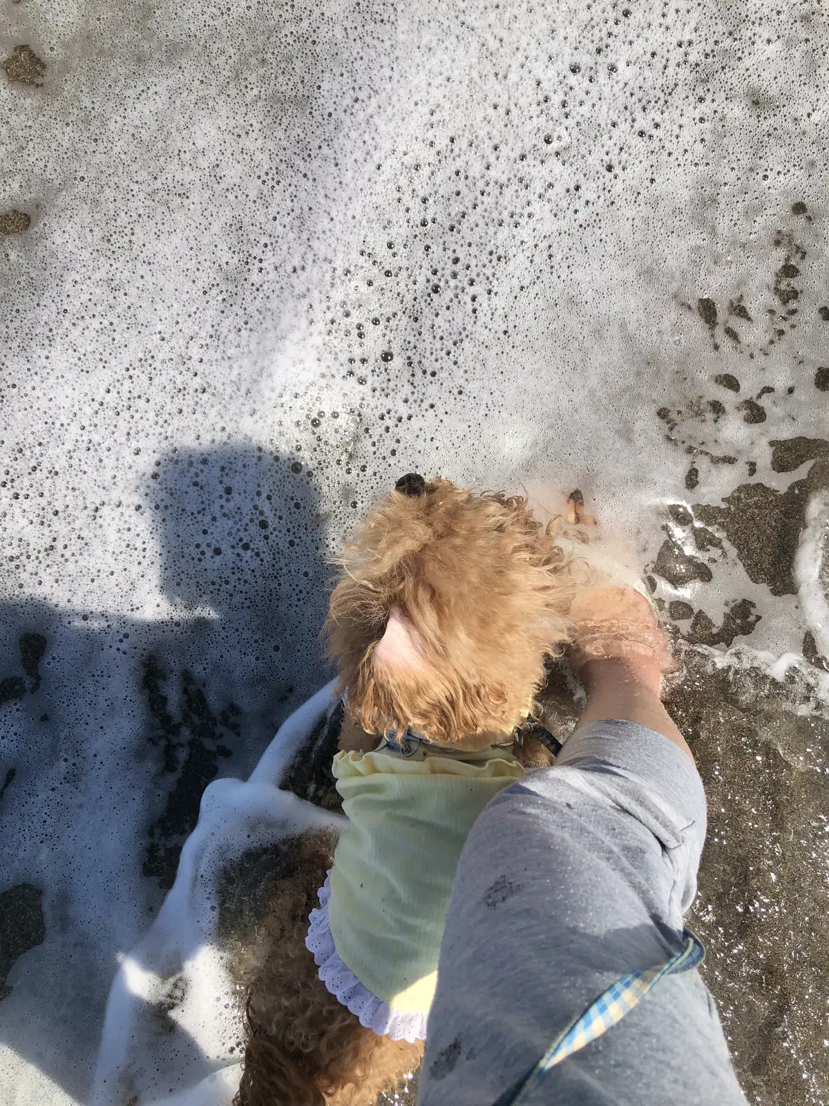 「いつも」の当たり前が幸せ。の画像_4