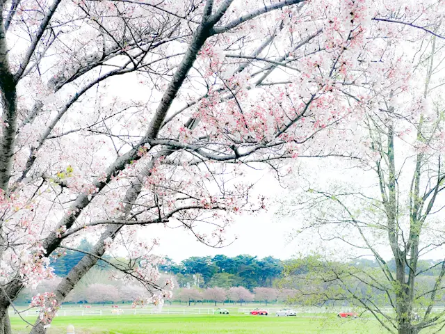 【さかぽんの美術探訪】フランソワポンポンの画像_2