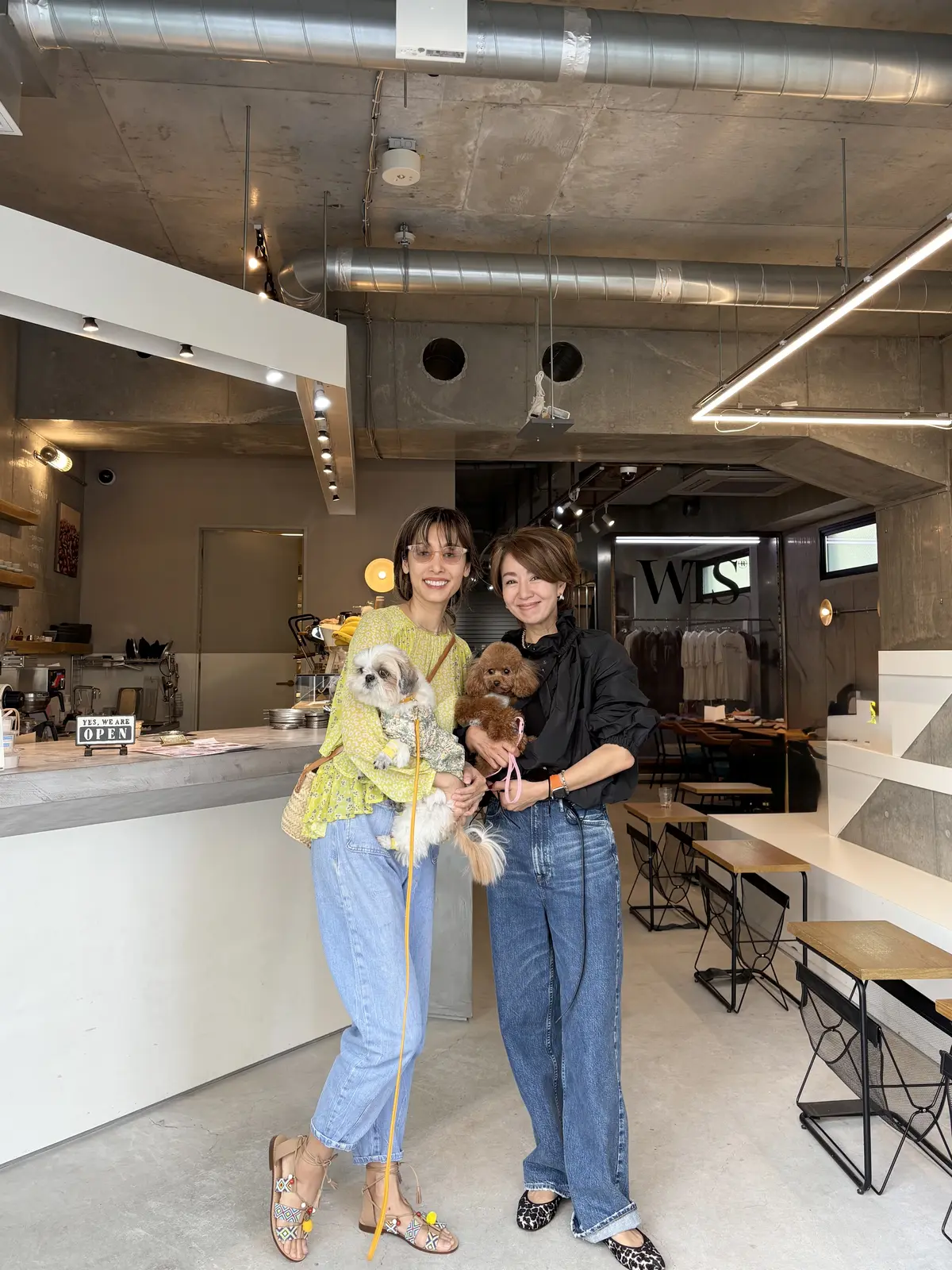 ワンコと一緒に楽しめるギリシャヨーグルトの画像_12