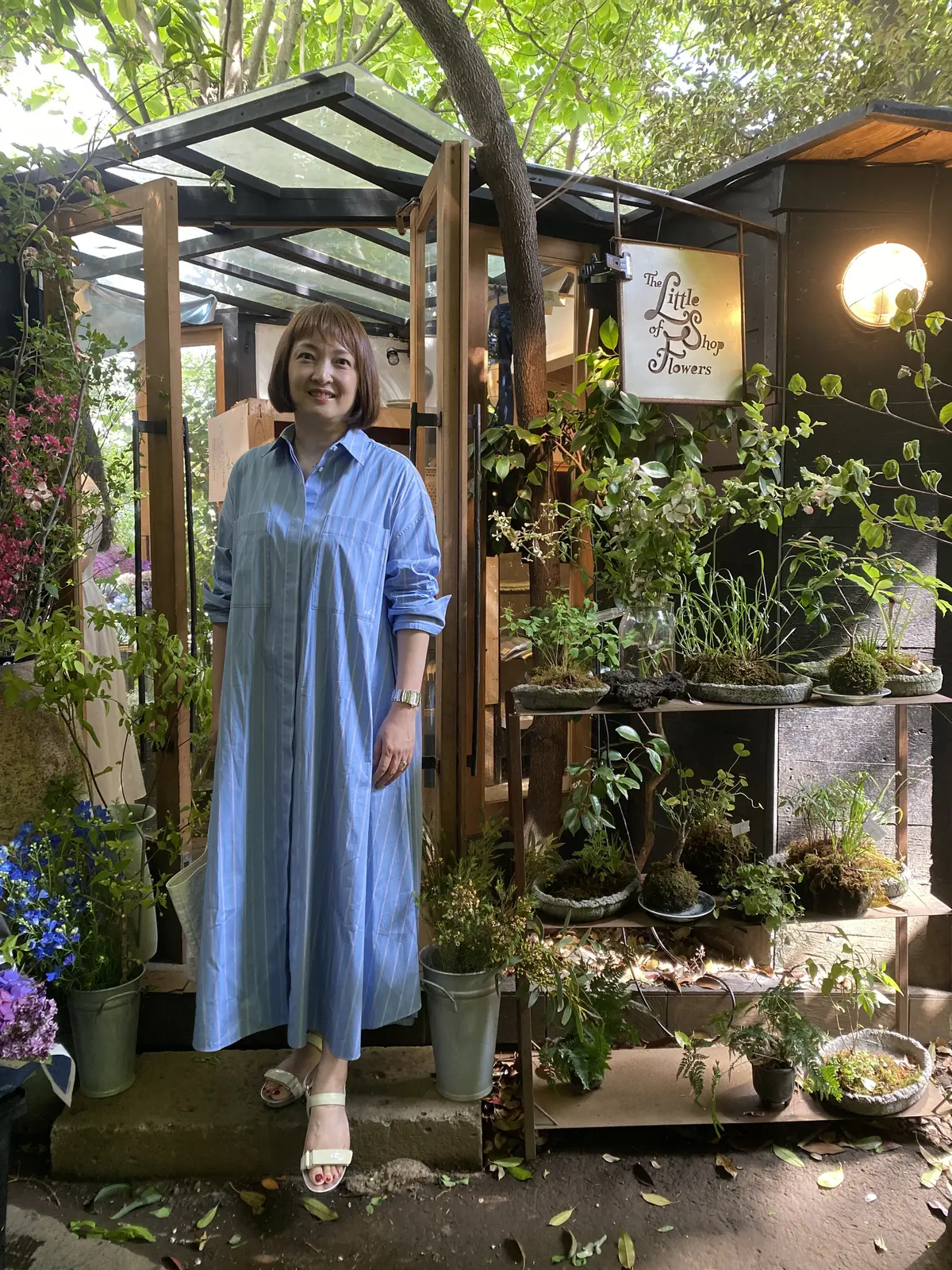 THE LITTLE SHOP OF FLOWERS