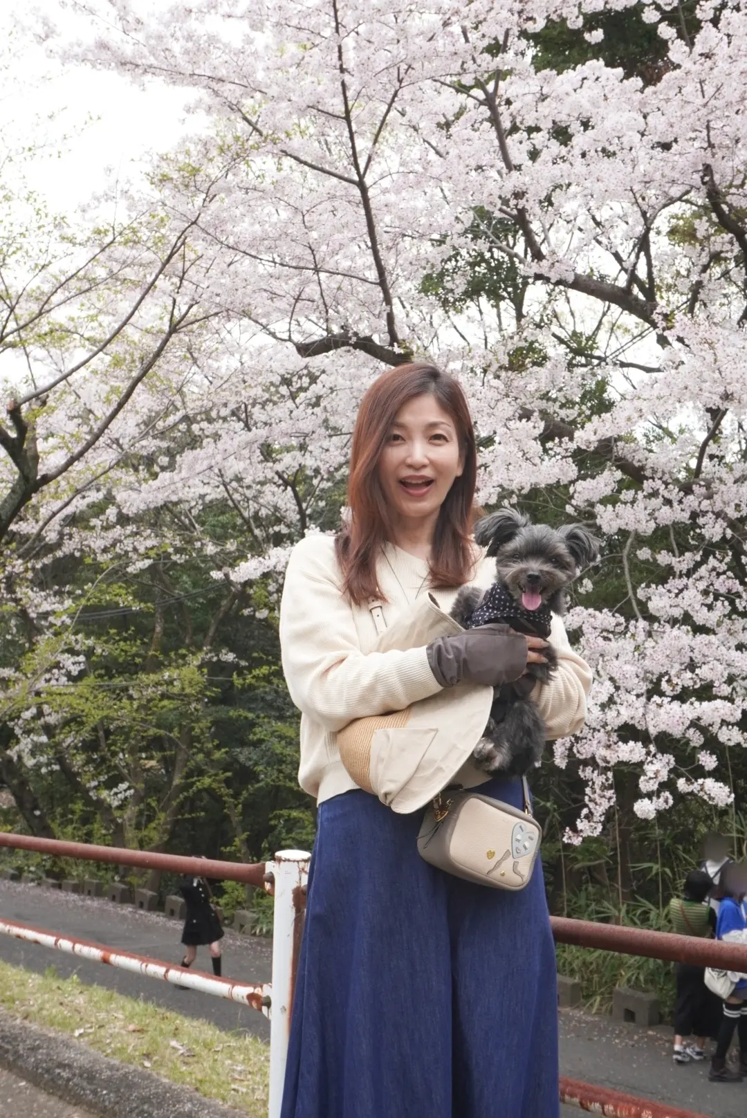 花三昧♡花夢の里☆おへそ☆ワンコとお花見の画像_19