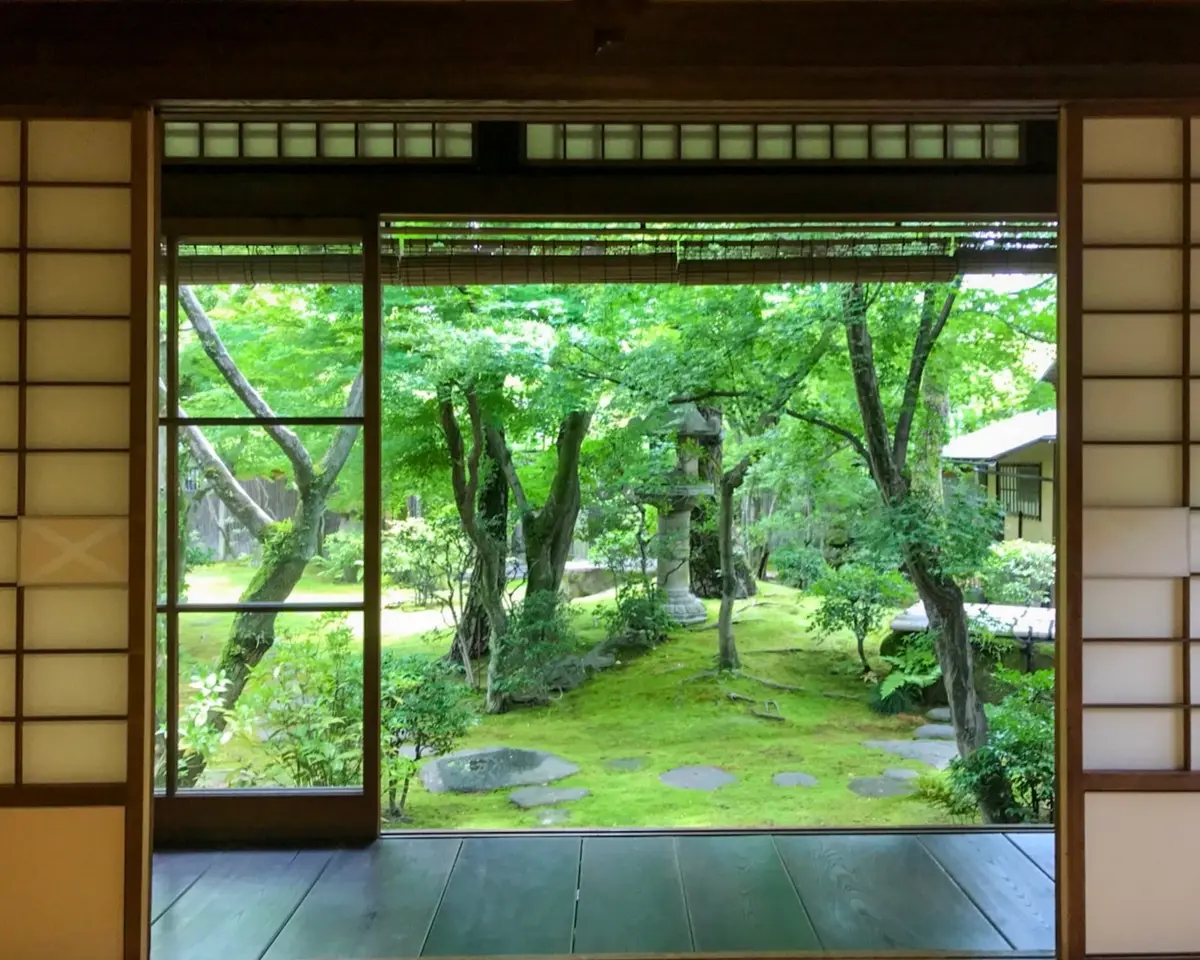 お気に入りTシャツ を着て旅への画像_2