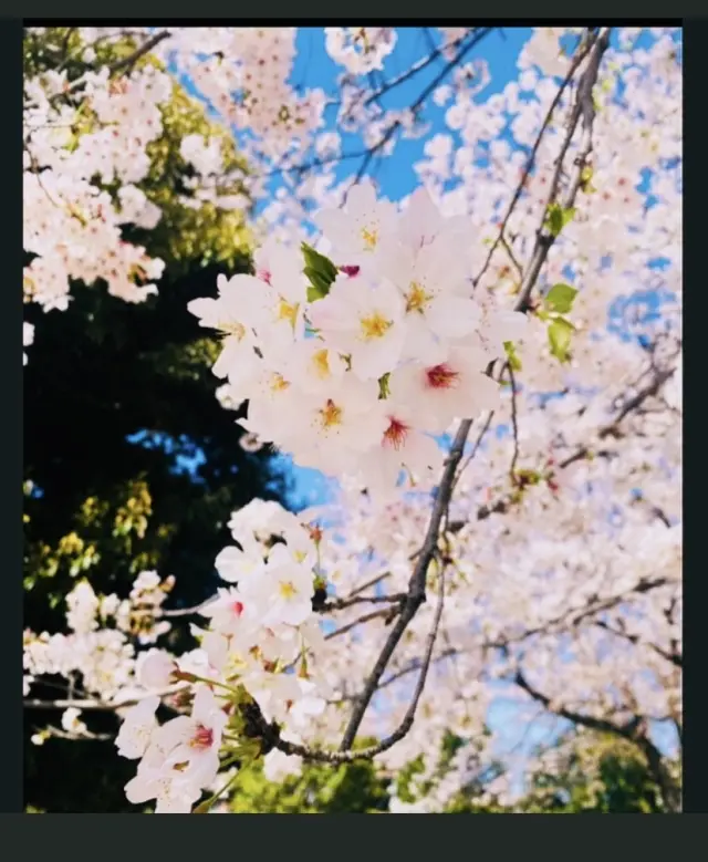 彩りが美しい季節には 、 華やかなファッの画像_2