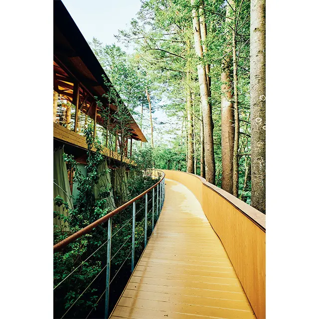 オープンエアのアプローチから2階のパブリックスペースやレストランへ自然と建築をつなぐ