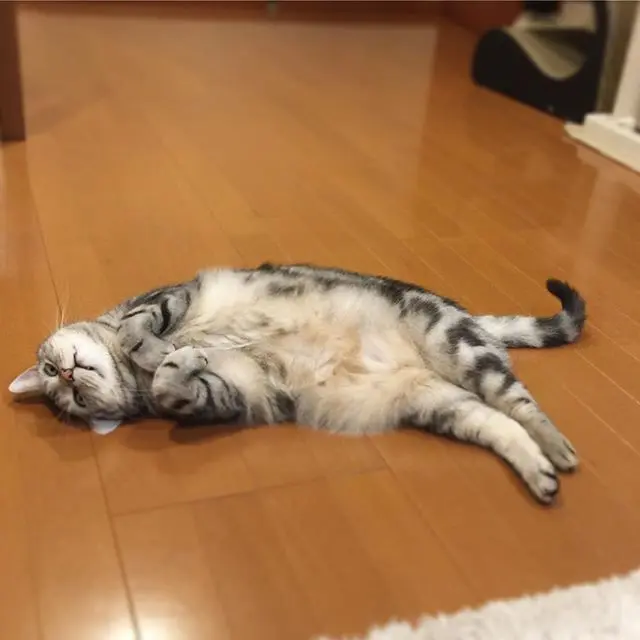 退屈だなあの画像_2