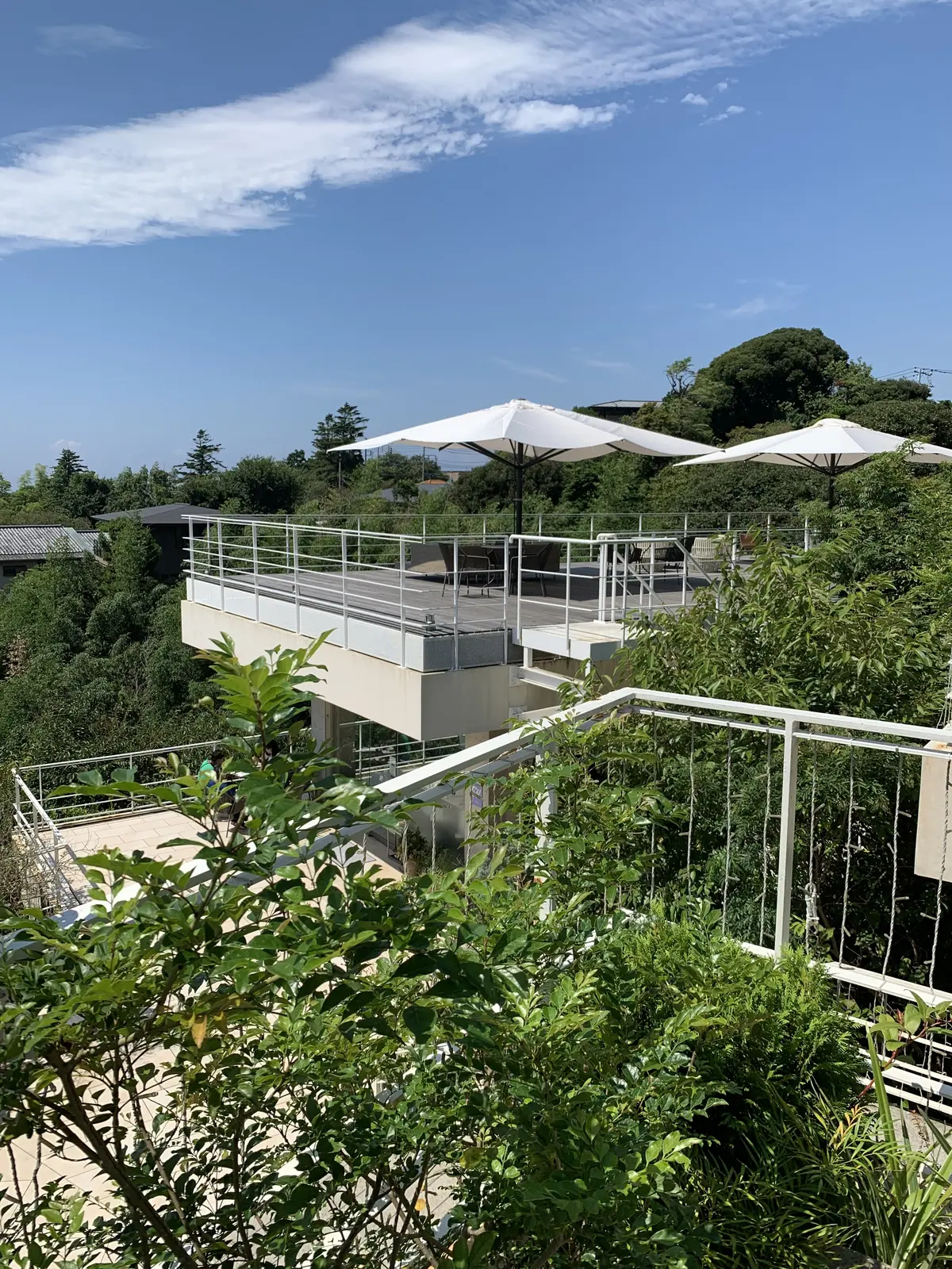 ルミリュウ鎌倉山　カフェ&パティスリー　鎌倉山カフェ